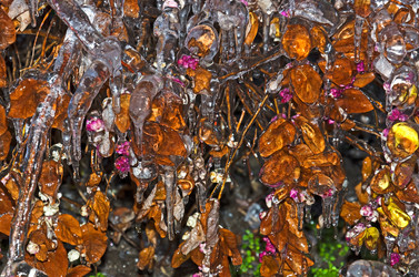 Similar image 5835021