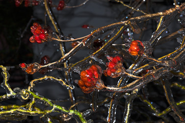 Similar image 5835022