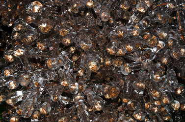 Similar image 5835039