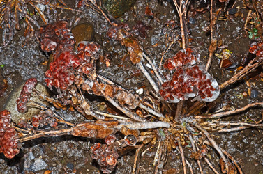 Similar image 5835041