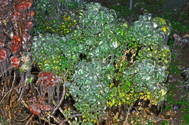 Similar image 5835042