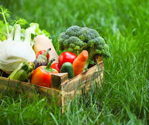 Similar image 5835091