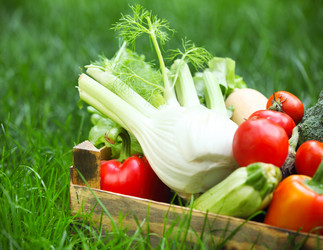 Similar image 5835092