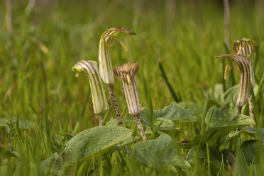 Similar image 5835098