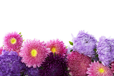 Similar image 5835101