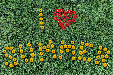 Similar image 5835104