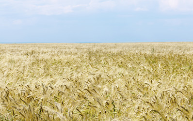 Similar image 5835111