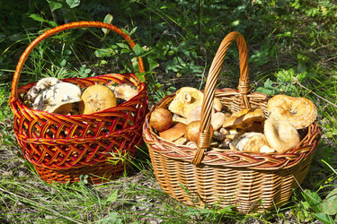 Similar image 5835112