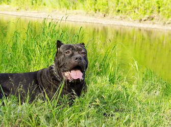 Similar image 5835115