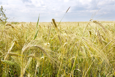 Similar image 5835116