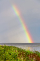 Similar image 5835117