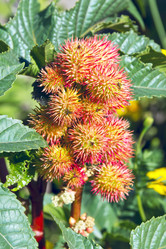 Similar image 5835118