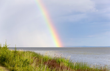 Similar image 5835119