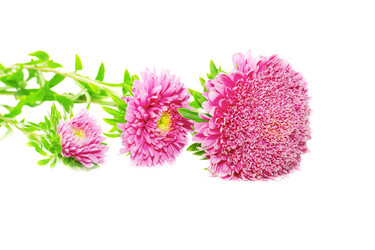 Similar image 5835120