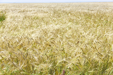 Similar image 5835122