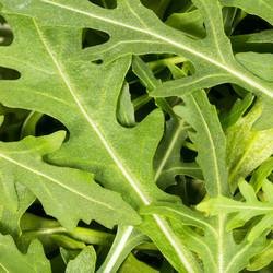 Similar image 5835294