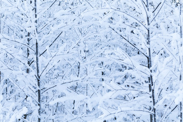 Similar image 5835298