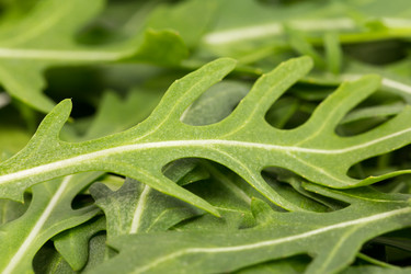 Similar image 5835325