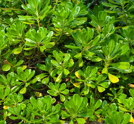 Similar image 5835444