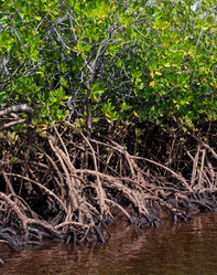 Similar image 5835447