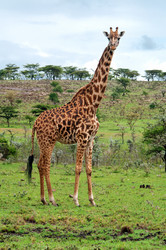 Similar image 5835454