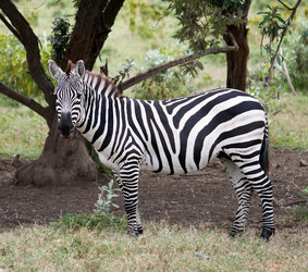 Similar image 5835455