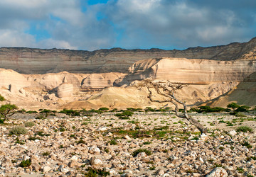 Similar image 5835457