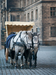 Similar image 5835460