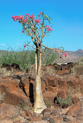 Similar image 5835515