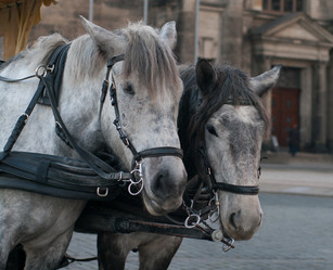 Similar image 5835561