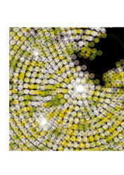 Similar image 5835565