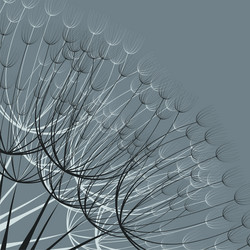 Similar image 5835739