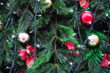 Similar image 5836254