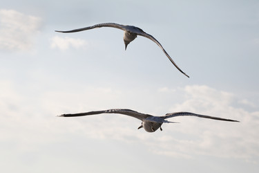 Similar image 5836331