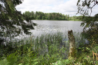 Similar image 5836334