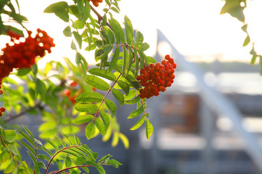 Similar image 5836337