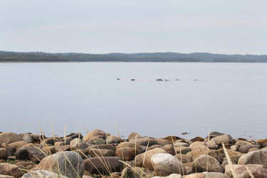 Similar image 5836338