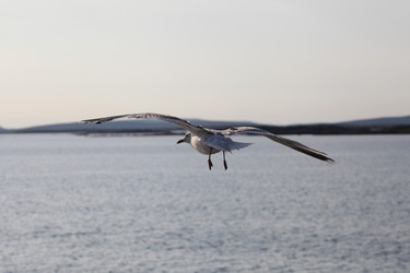 Similar image 5836342