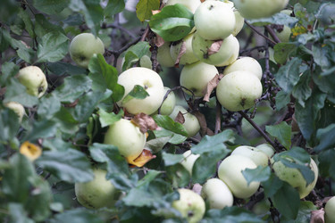 Similar image 5836382