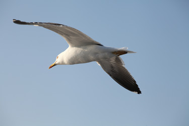 Similar image 5836383