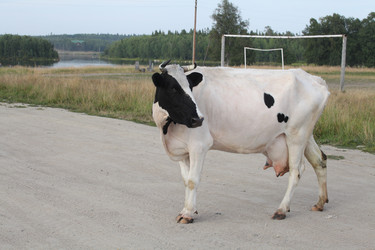 Similar image 5836388