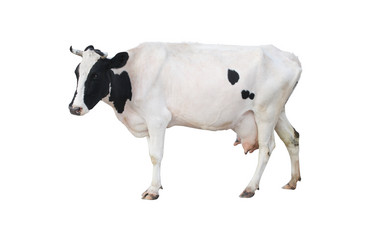 Similar image 5836389