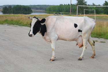 Similar image 5836390