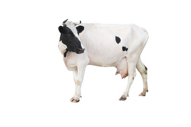 Similar image 5836392