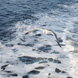 Similar image 5836400