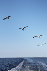 Similar image 5836405