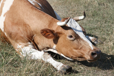 Similar image 5836410