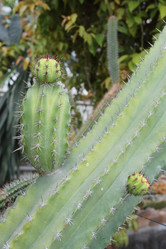 Similar image 5836424