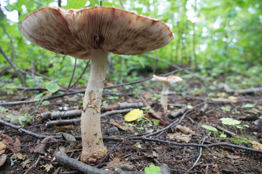 Similar image 5836448