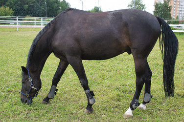 Similar image 5836449